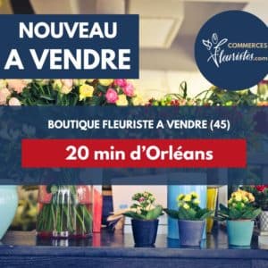 fleuriste Patay