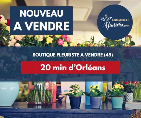 fleuriste Patay